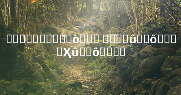 ����������ò��� ����û��ô����Ҳû��ô����